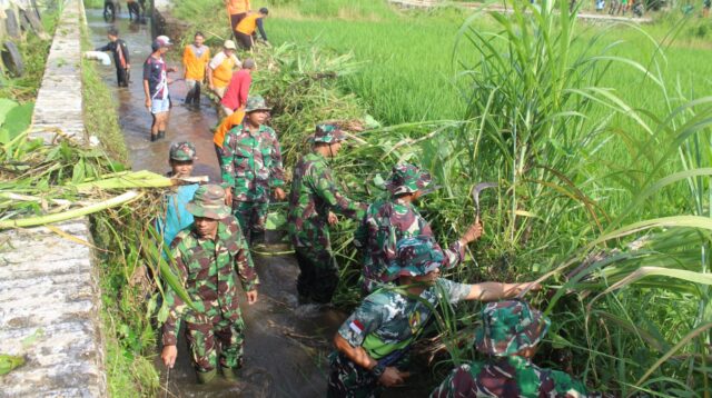 Kurangi Resiko Banjir, Ratusan Prajurit Kodim, Polres Dan Warga Bersihkan Aliran Sungai Sawah Sri Desa Cepagan