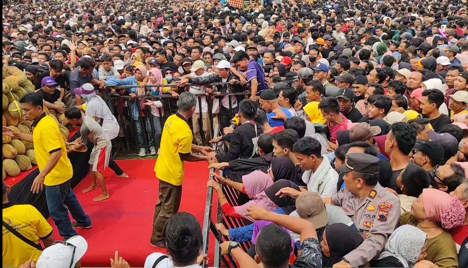 Festival Durian di Pekalongan Berakhir Ricuh,Pengunjung Jebol Pagar Pembatas